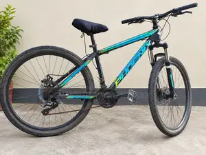 Bicycle Selling Blue Color