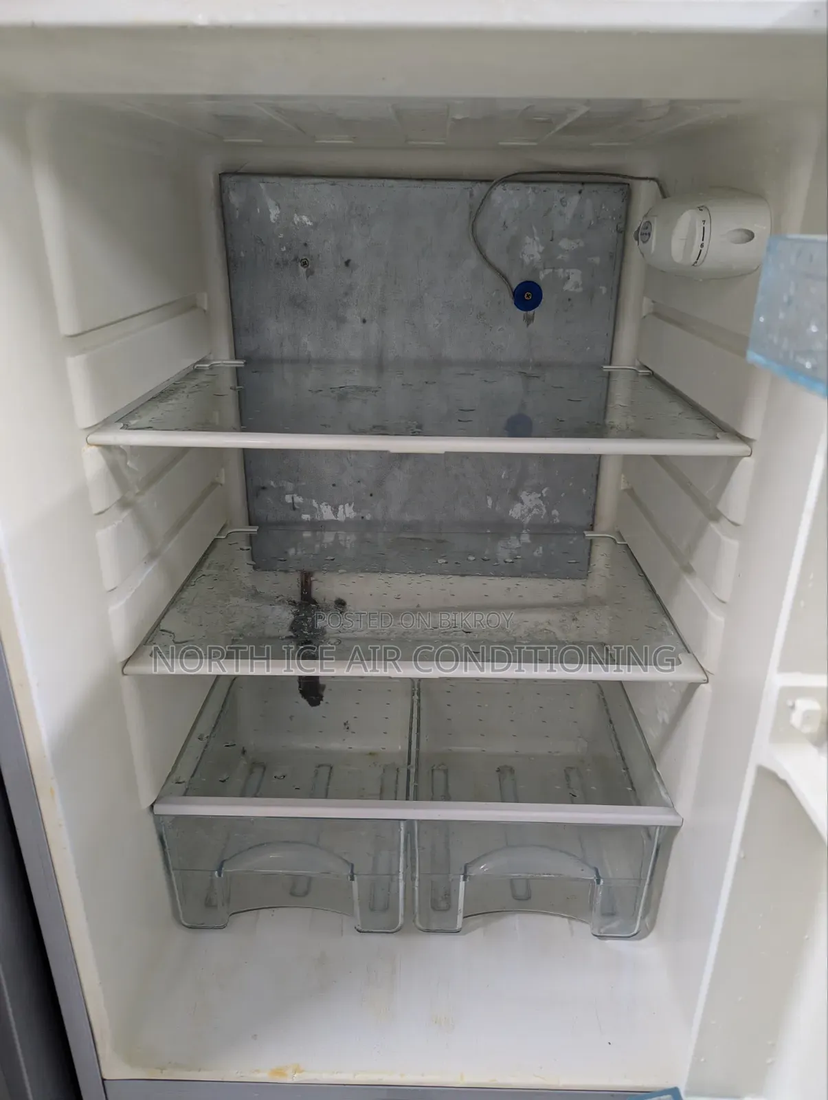 Eco+ Glass Door Fridge 232 Ltr.
