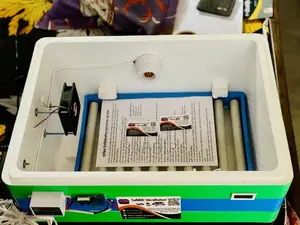 অটো ডিম ফোটানোর মেশিন