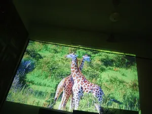 Projector Wanbo X5