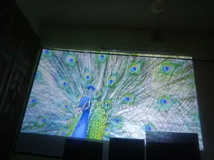 Projector Wanbo X5