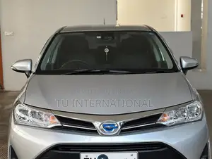 Toyota Corolla Fielder 2018 Silver