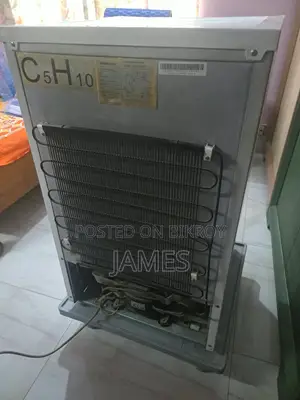 ১. স্যামসাং রেফ্রিজারেটর