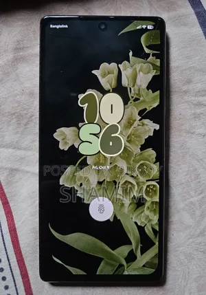 গুগল পিক্সেল ৬ ১২৮ জিবি গ্রে