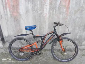 বাই সাইকেল