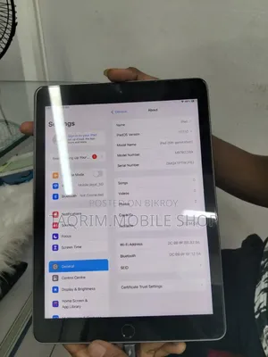 Apple iPad Wi-Fi 128 GB Gray