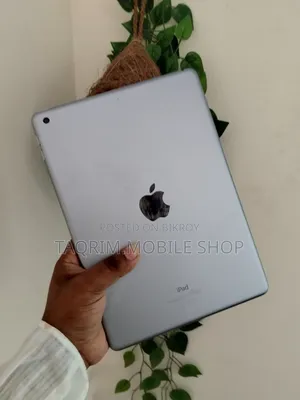 Apple iPad Wi-Fi 128 GB Gray