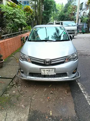 Toyota Axio 2012 Silver