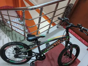 Phoenix Cycle