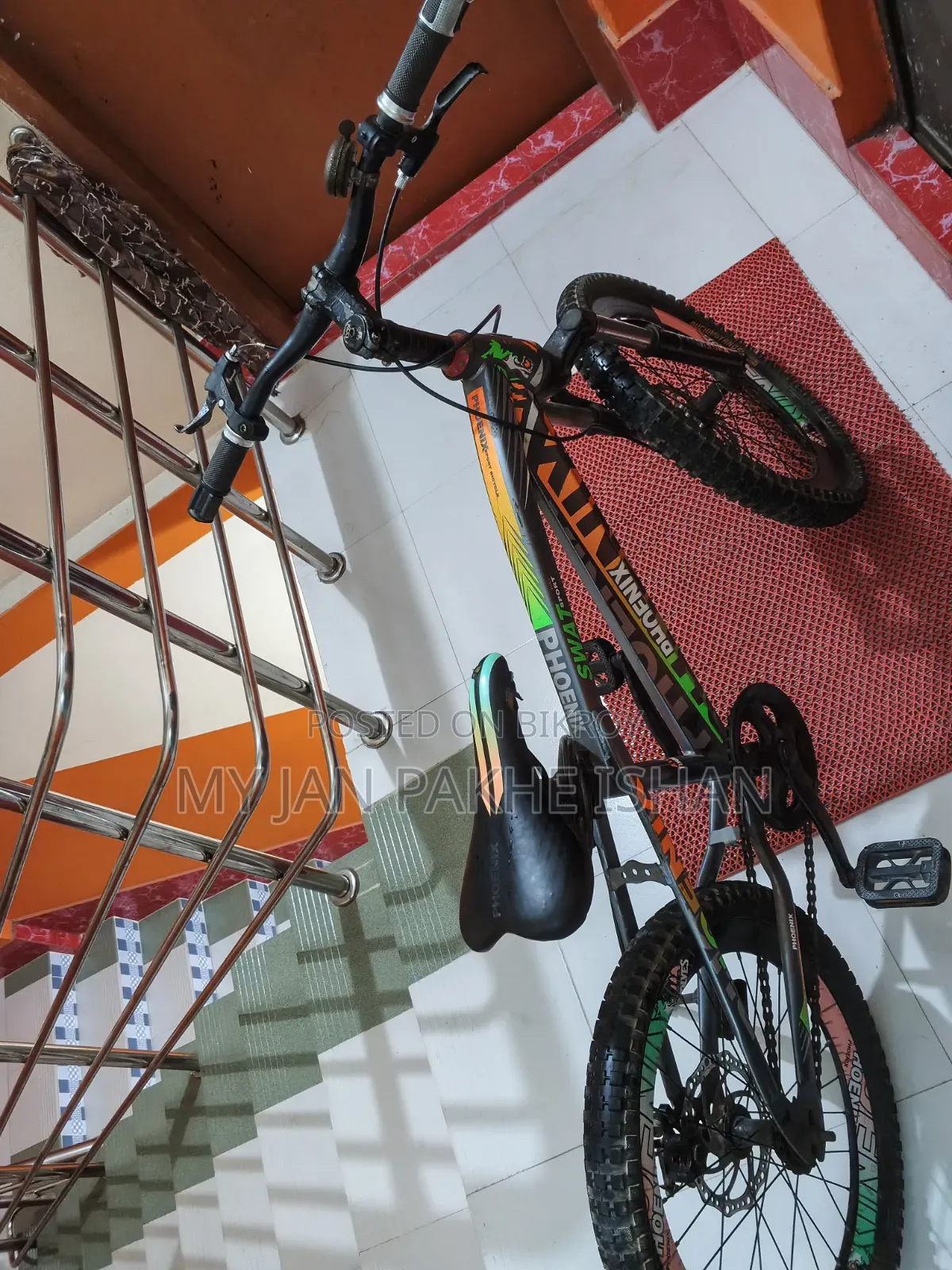 Phoenix Cycle
