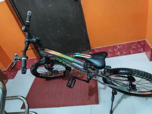 Phoenix Cycle