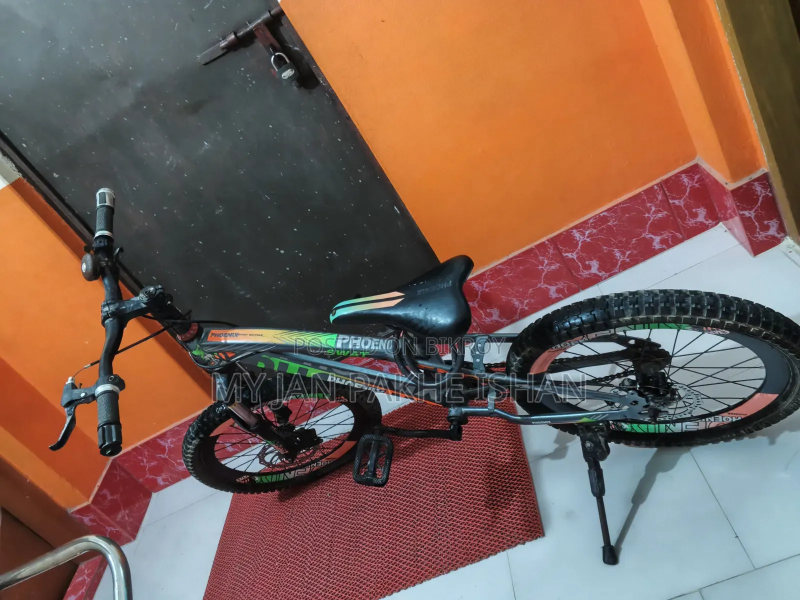 Phoenix Cycle