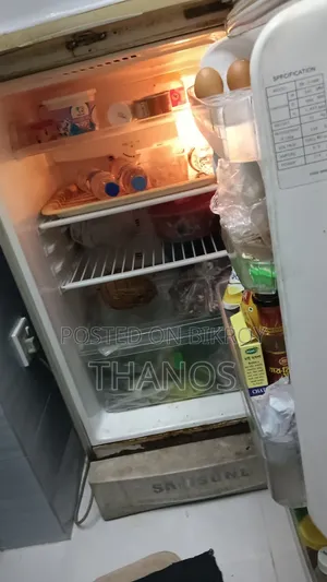 Samsung Fridge (10.5 Cft)