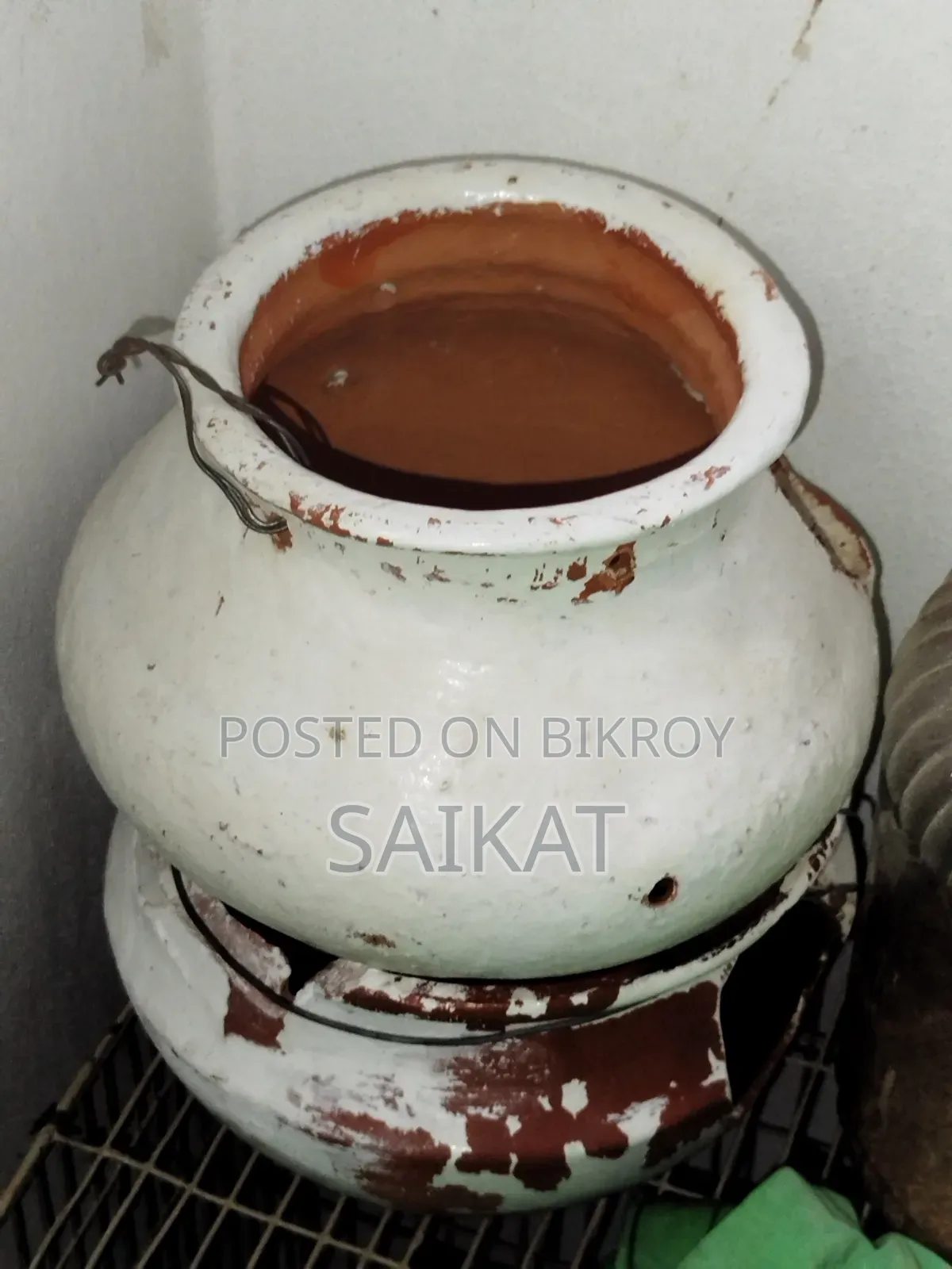 বড় খাঁচাসহ ৫টি বাজরিগার পাখি (হাঁড়ি, খাবার, পট ও ওষুধ সহ ফুল সেটআপ)