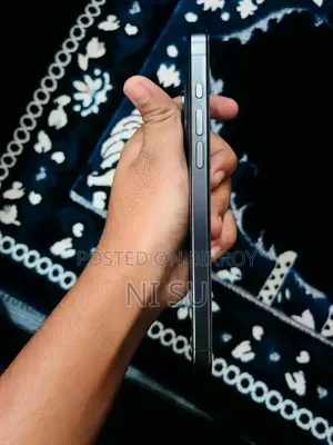 অ্যাপল আইফোন ১৫ প্রো ম্যাক্স ২৫৬ জিবি ব্ল্যাক