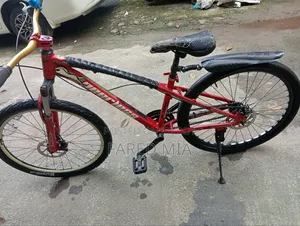 I need to sell it because I need money.