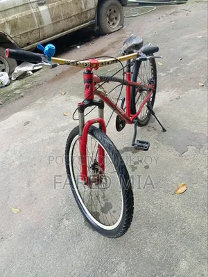 I need to sell it because I need money.