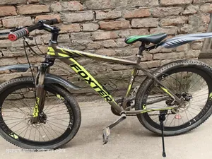 Foxter Cycle Alloy Body