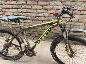 Foxter Cycle Alloy Body