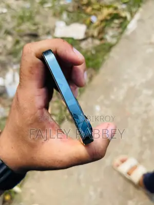 অ্যাপল আইফোন ১২ প্রো ম্যাক্স ৫১২ জিবি নীল