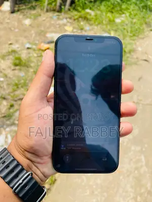 অ্যাপল আইফোন ১২ প্রো ম্যাক্স ৫১২ জিবি নীল
