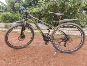 Bicycle 12 - Gear Oil Brake