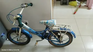 Children's Bikes / শিশুদের সাইকেল
