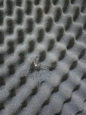 অ্যাকৌস্টিক ফোম