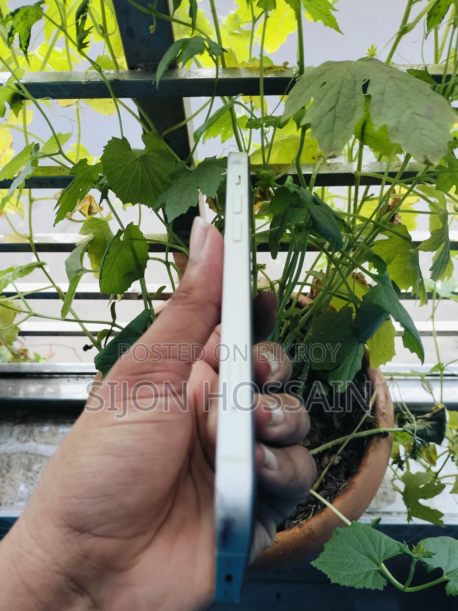 অ্যাপল আইফোন ১২ ১২৮ জিবি সাদা