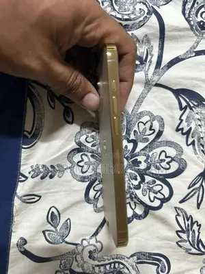 অ্যাপল আইফোন ১৩ প্রো ১২৮ জিবি সিলভার