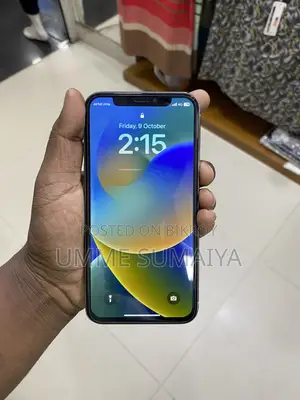 Apple iPhone X 256 GB White