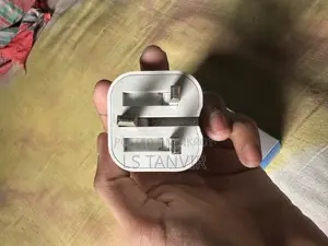 অ্যাপেল ২০ডব্লিউ চার্জার