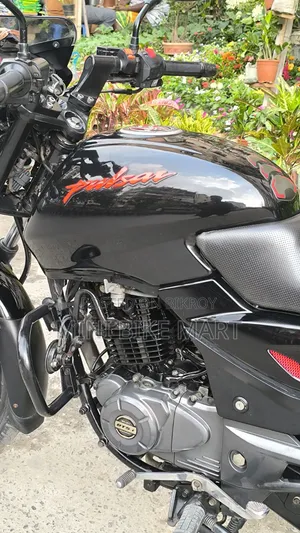 Bajaj Pulsar 150 2023 Black
