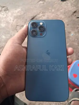 অ্যাপল আইফোন ১২ প্রো ম্যাক্স ২৫৬ জিবি নীল