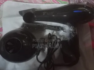 ডেলিয়া পার্সোনাল হেয়ার ড্রায়ার ফুল ফ্রেশ