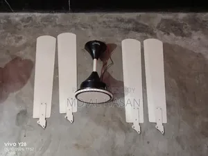 ৫৬'' কনিয়ন ফ্যান বিক্রি
