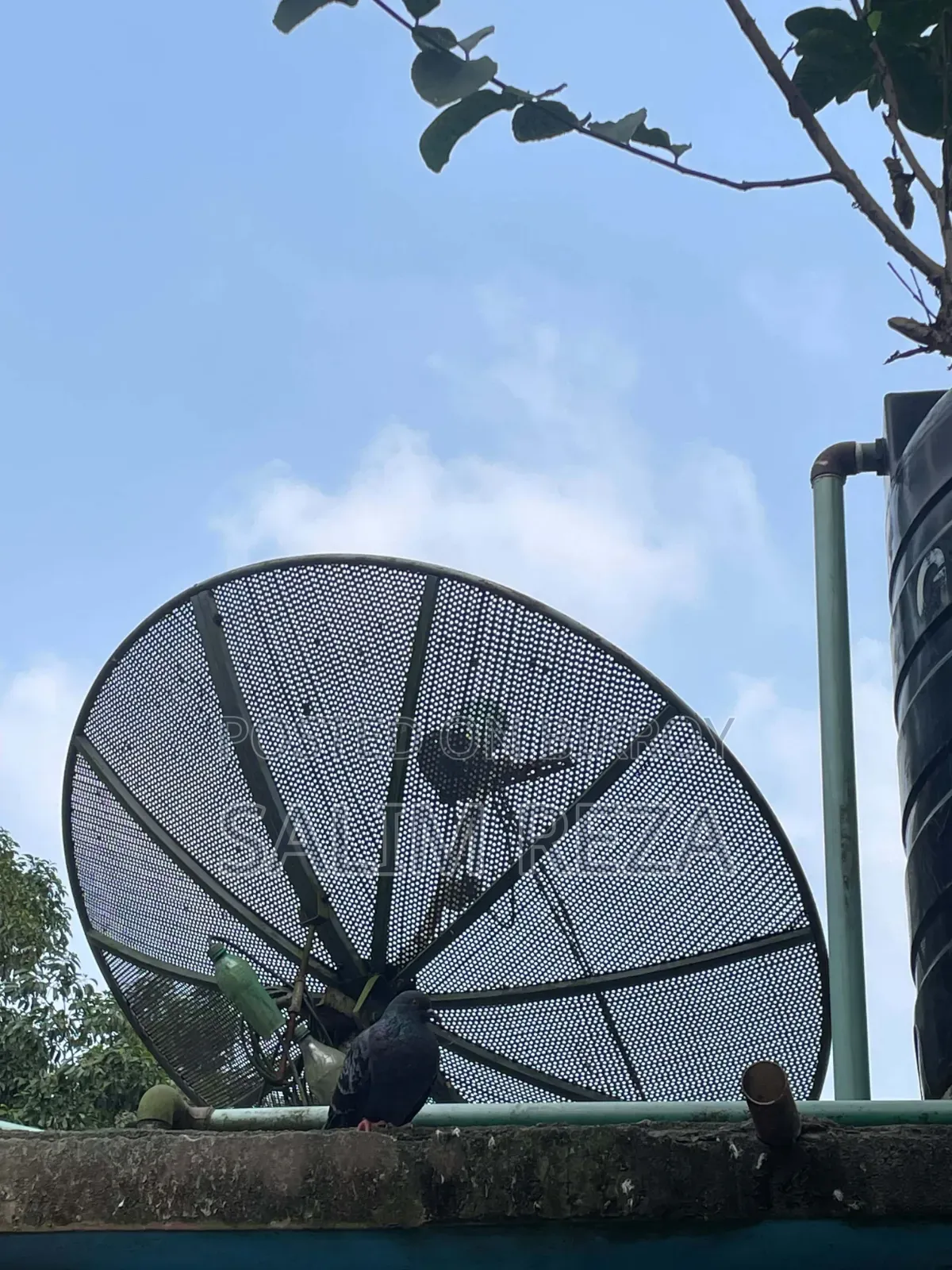 সংযোগ স্যাটেলাইট ৫ ফুট খাঁচা । কমপ্লিট সেট বিক্রি করা হবে ।