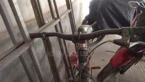 Non-Gear Bicycle (Double Suspension)