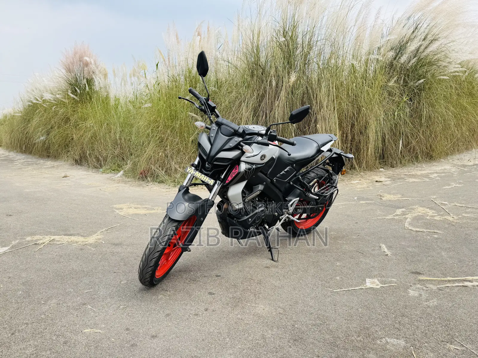 Yamaha MT-15 2022 Gray