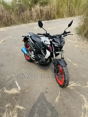Yamaha MT-15 2022 Gray