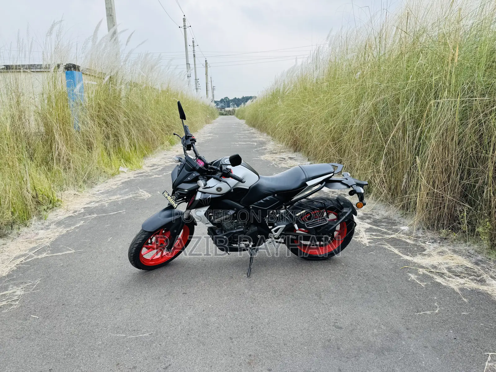Yamaha MT-15 2022 Gray