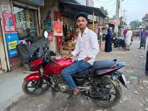 Bajaj Pulsar 150 2016 Red