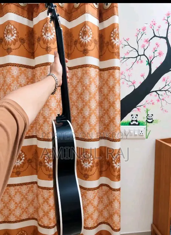জিপসনের গিটার