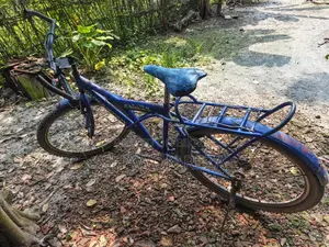 Duranta Cycle