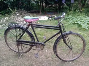 Vaiya Cycle