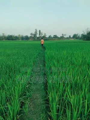 ২৫ শতক ধানি জমি বিক্রি