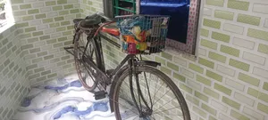 A Good Quality Bicycle
