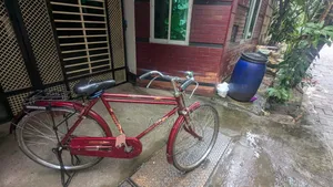 Indian Bicycle