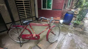 Indian Bicycle