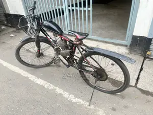 Petrol Octane Engine Bike 80cc (Bicycle Converted to Motor Bike)